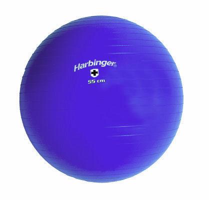 Harbinger Training Ball